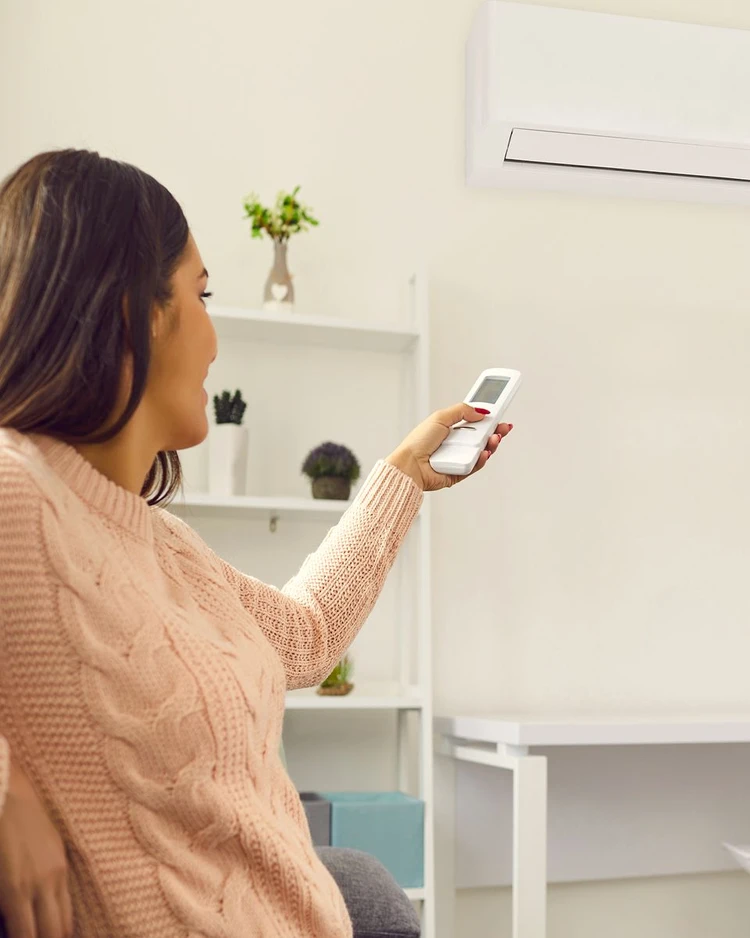 Mitsubishi Electric
