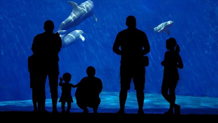 Acquario di Genova